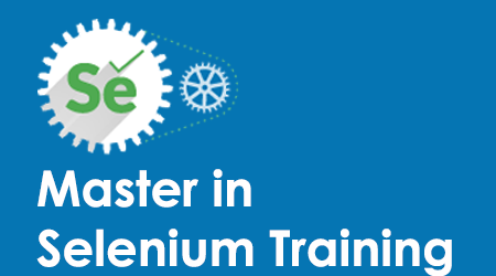 Master in Selenium Certification Program