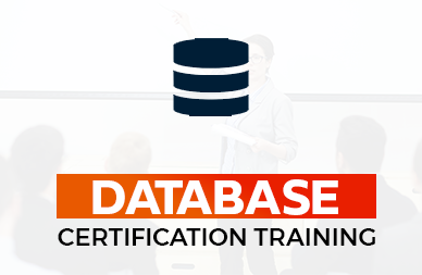 Database Training and Certification Course